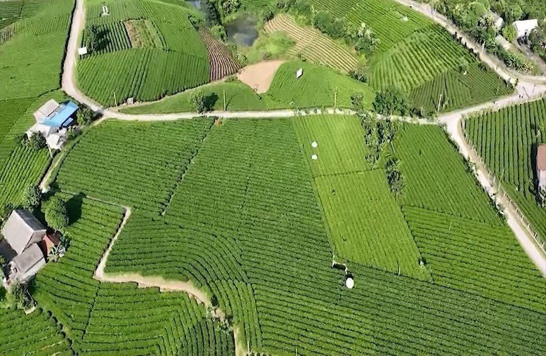 4 huyện về đích nông thôn mới- Ảnh 1.