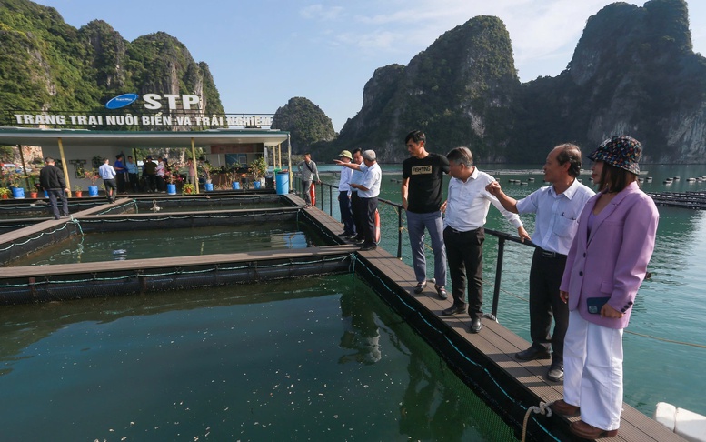 Bộ Nông nghiệp và Môi trường thực hiện phân cấp, phân quyền cho địa phương