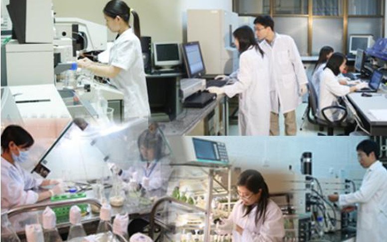 Chỉ đạo, điều hành của Chính phủ, Thủ tướng Chính phủ ngày 16/6/2025 (2)