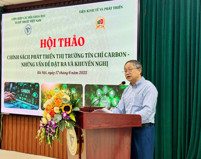Định hình thị trường tín chỉ carbon: Đòi hỏi thể chế mạnh- Ảnh 1.