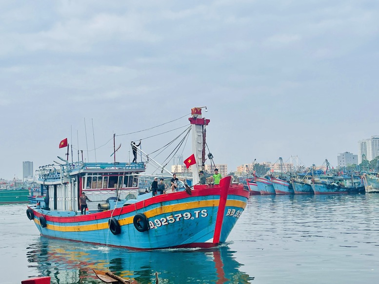 Đà Nẵng siết chặt quản lý 147 tàu cá chưa đủ điều kiện hoạt động- Ảnh 1.