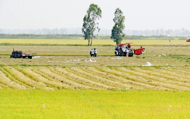 Đối tượng được hỗ trợ ổn định đời sống khi thu hồi đất