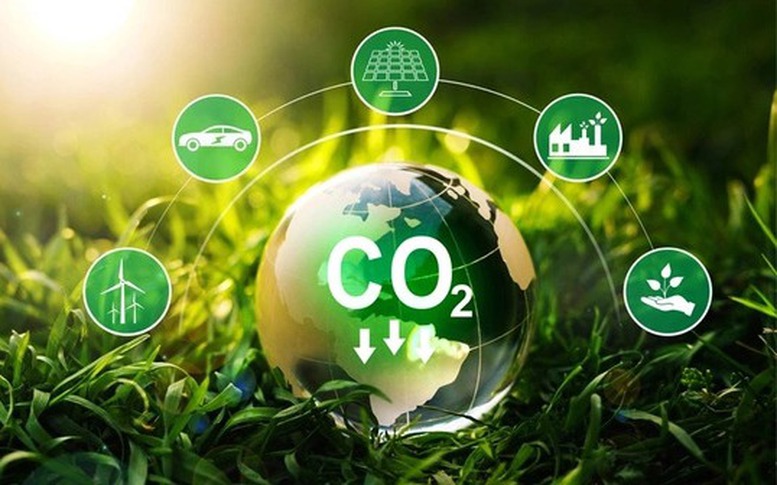Hoàn thiện khung pháp lý quy định về dịch vụ hấp thụ và lưu giữ carbon của rừng