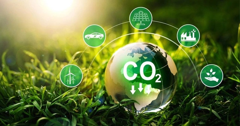 Hoàn thiện khung pháp lý quy định về dịch vụ hấp thụ và lưu giữ carbon của rừng- Ảnh 1.