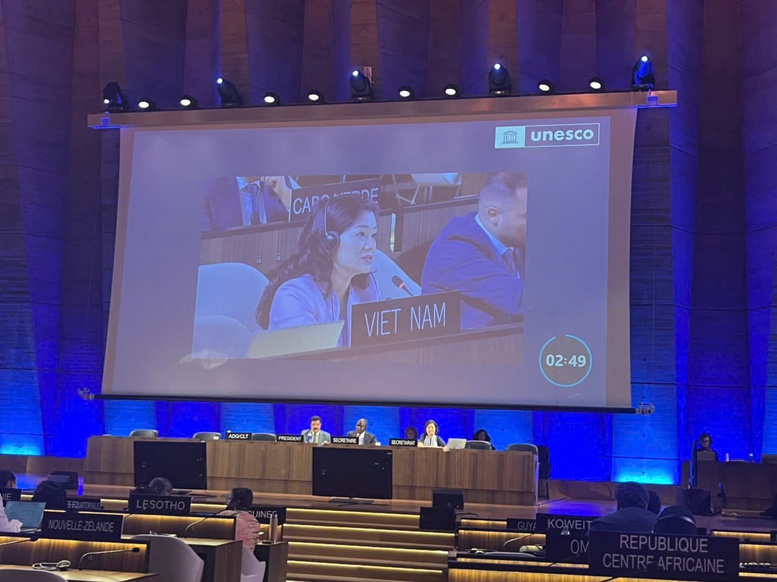 Việt Nam lần thứ 3 trúng cử thành viên Ủy ban liên chính phủ Công ước UNESCO 2005- Ảnh 2.