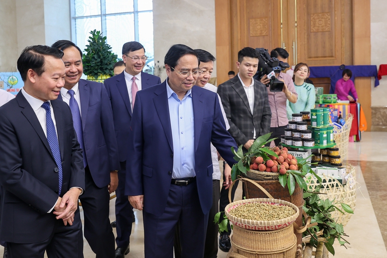 Thủ tướng: Thực hiện bằng được mục tiêu nông nghiệp sinh thái, nông thôn hiện đại, nông dân văn minh- Ảnh 10.