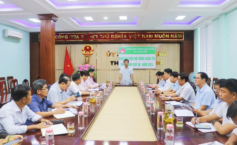 Quảng Ngãi: Tín dụng chính sách hỗ trợ đắc lực giảm nghèo, xây dựng nông thôn mới trên quê hương Đức Phổ- Ảnh 1.