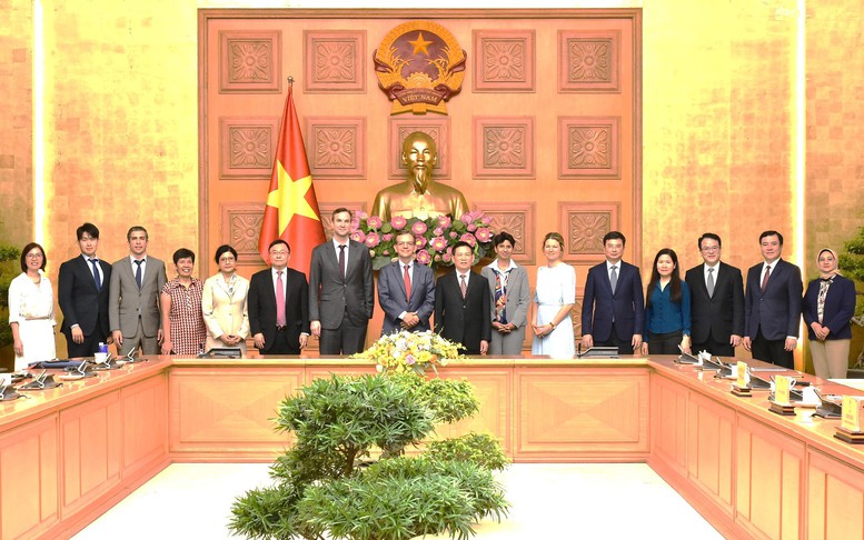 Phó Thủ tướng Hồ Đức Phớc tiếp Đoàn Điều IV Quỹ Tiền tệ Quốc tế (IMF)