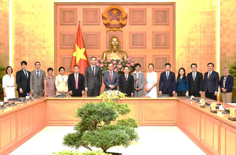 Phó Thủ tướng Hồ Đức Phớc tiếp Đoàn Điều IV Quỹ Tiền tệ Quốc tế (IMF)- Ảnh 4.