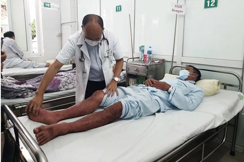 Sốt xuất huyết Dengue: Đừng để nguy kịch vì chủ quan- Ảnh 1.