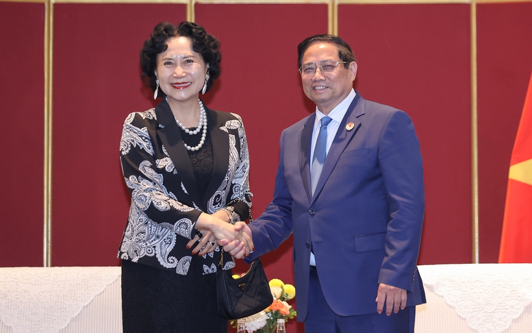 Thủ tướng tiếp Giám đốc Trung tâm Nghiên cứu Đặc khu kinh tế Trung Quốc (Đại học Thâm Quyến)