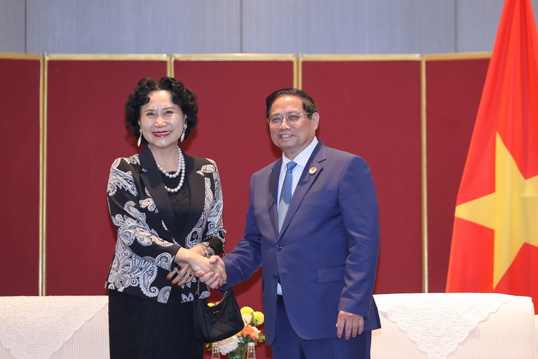 Thủ tướng tiếp Giám đốc Trung tâm Nghiên cứu Đặc khu kinh tế Trung Quốc (Đại học Thâm Quyến)- Ảnh 1.