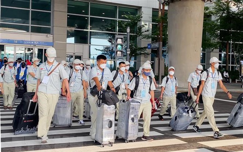 Loại 2 doanh nghiệp khỏi chương trình đưa lao động sang Australia làm nông nghiệp