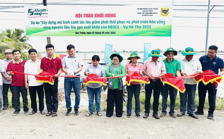 Bình Điền đẩy mạnh Dự án "Xây dựng mô hình canh tác lúa giảm phát thải phục vụ phát triển bền vững"- Ảnh 1.