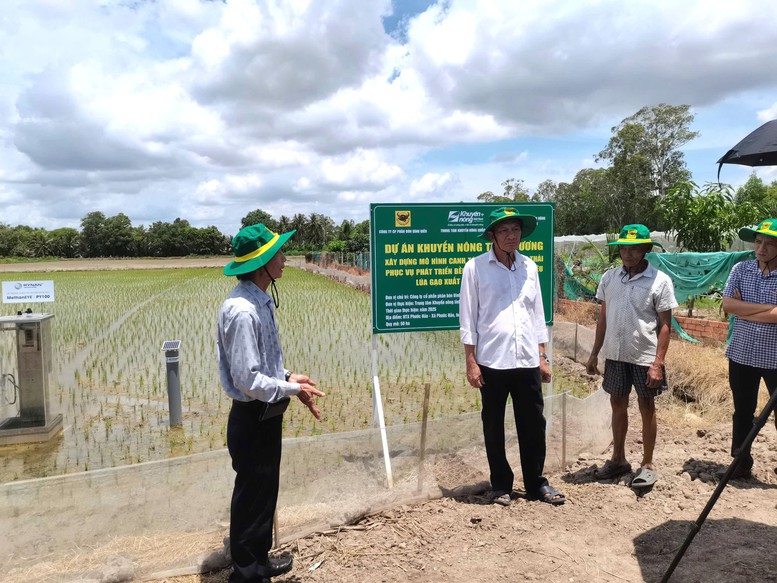 Bình Điền đẩy mạnh Dự án "Xây dựng mô hình canh tác lúa giảm phát thải phục vụ phát triển bền vững"- Ảnh 2.