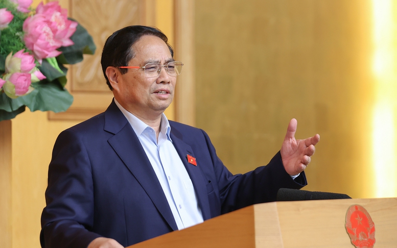 Tổ chức triển lãm 