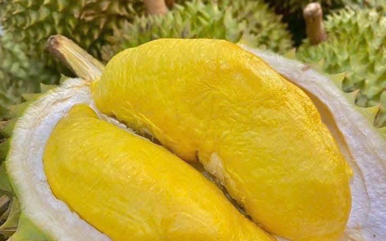 9 biện pháp thúc đẩy xuất khẩu sầu riêng