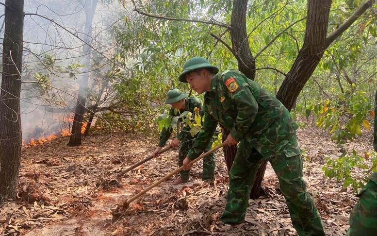 Nắng nóng gay gắt, miền Trung kích hoạt hệ thống cảnh báo sớm phòng chống cháy rừng