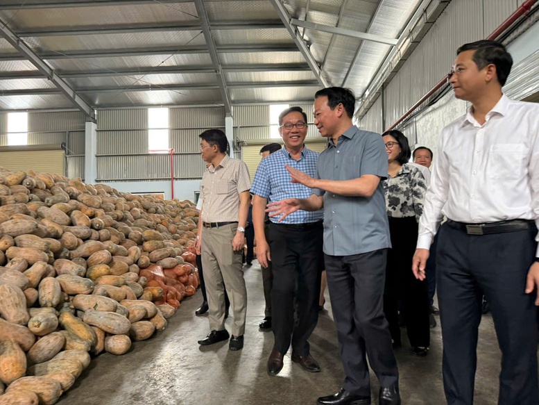 Xuất khẩu nhiều sản phẩm nông sản chủ lực tăng giá trị- Ảnh 1.