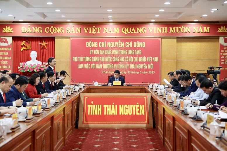 Thái Nguyên cần cân đối nguồn lực, hài hòa lợi ích phát triển- Ảnh 2.