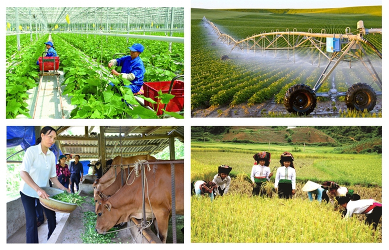 Kiện toàn Ban Chỉ đạo Tổng điều tra nông thôn, nông nghiệp năm 2025 trung ương- Ảnh 1.