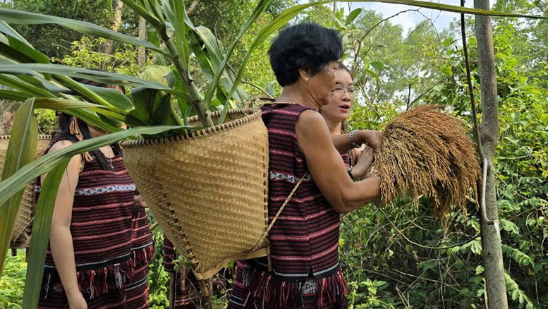 Công bố thêm 11 di sản văn hóa phi vật thể Quốc gia- Ảnh 1.
