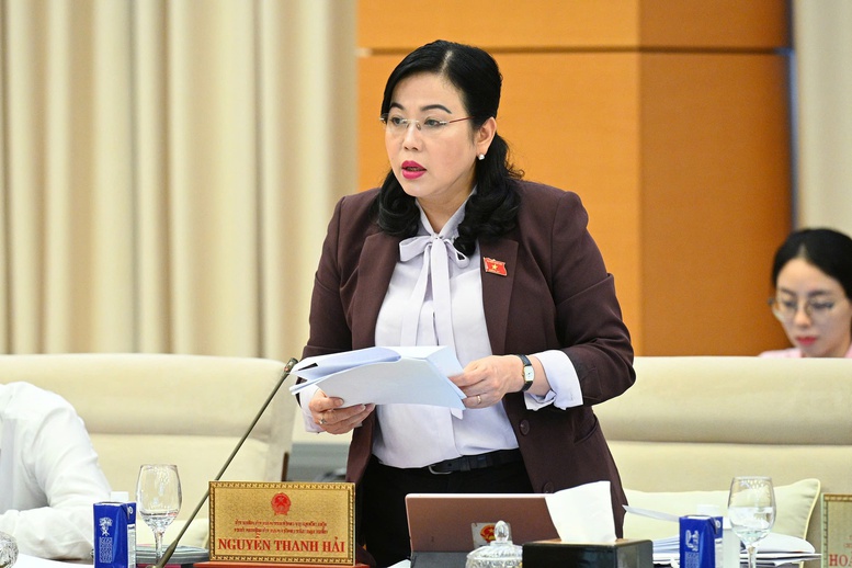 'Đại biểu chuyên trách chỉ nên tập trung làm đại biểu'- Ảnh 1.
