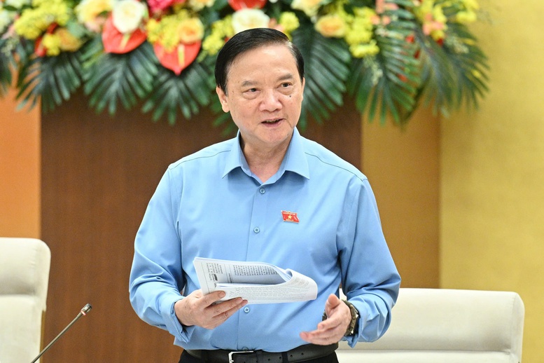 'Đại biểu chuyên trách chỉ nên tập trung làm đại biểu'- Ảnh 2.