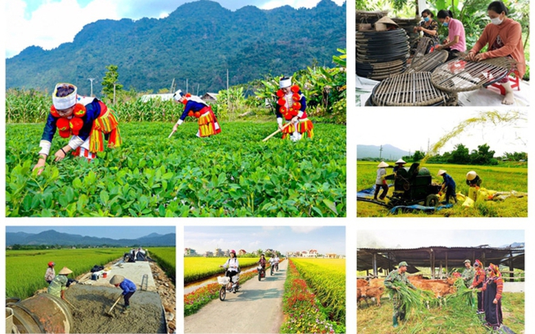 Kế hoạch tổng kết Chương trình mục tiêu quốc gia xây dựng nông thôn mới giai đoạn 2021 - 2025