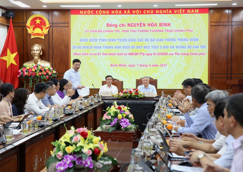 Dồn lực thi công, hoàn thành 4 dự án quan trọng thuộc tuyến cao tốc Bắc-Nam phía đông- Ảnh 2.