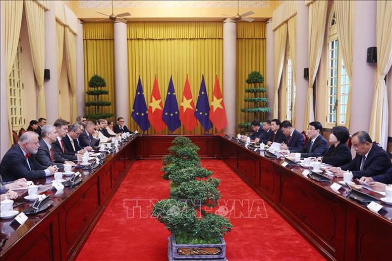 Chủ tịch nước Lương Cường tiếp Đại sứ EU và các nước thành viên- Ảnh 1.