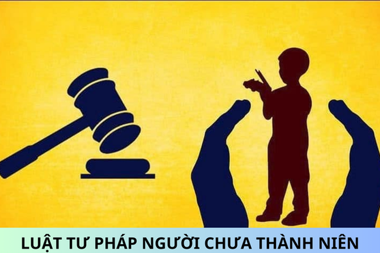 Triển khai thi hành Luật Tư pháp người chưa thành niên- Ảnh 1.