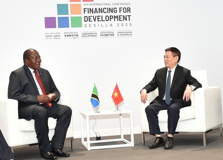 Phó Thủ tướng Hồ Đức Phớc gặp Phó Tổng thống Tanzania- Ảnh 1.