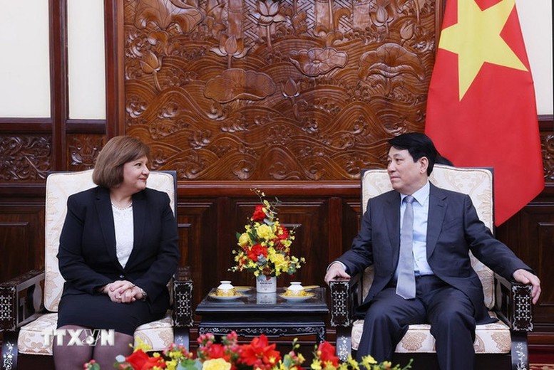 Chủ tịch nước Lương Cường tiếp Đại sứ Ai Cập đến chào từ biệt- Ảnh 2.