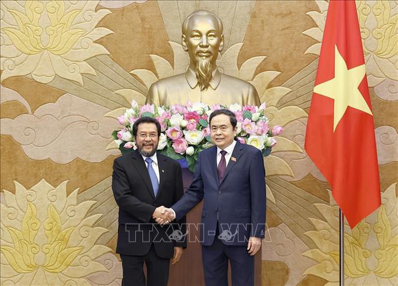 Chủ tịch Quốc hội Trần Thanh Mẫn tiếp Phó Chủ tịch Hội đồng Đại biểu địa phương Indonesia- Ảnh 1.