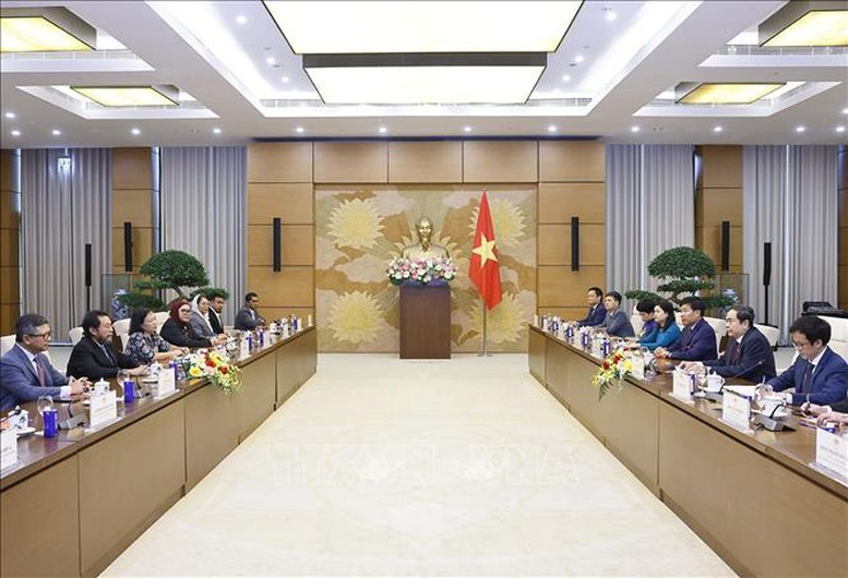 Chủ tịch Quốc hội Trần Thanh Mẫn tiếp Phó Chủ tịch Hội đồng Đại biểu địa phương Indonesia- Ảnh 2.