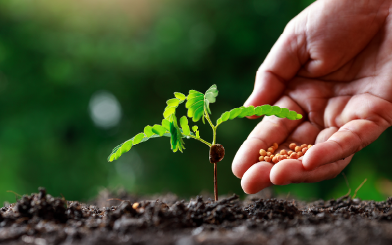 Bộ NN&MT phản hồi đề xuất bỏ quy định khảo nghiệm phân bón