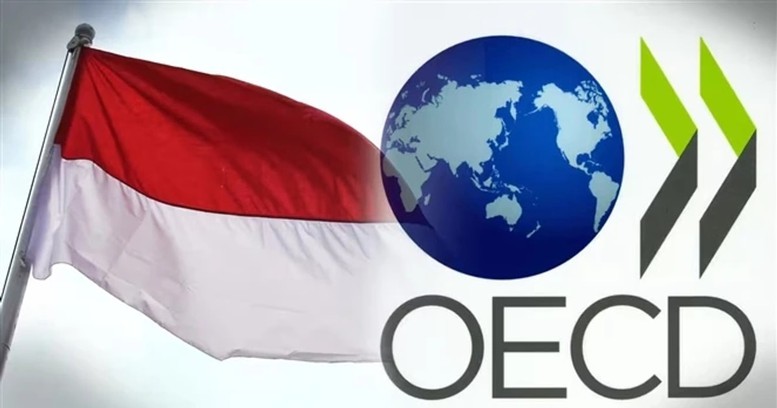 Bước tiến quan trọng của Indonesia trong quá trình gia nhập OECD- Ảnh 1.