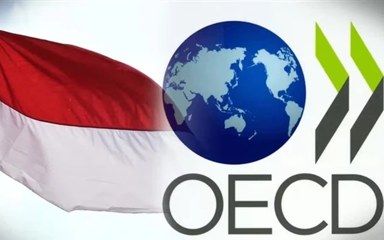 Bước tiến quan trọng của Indonesia trong quá trình gia nhập OECD