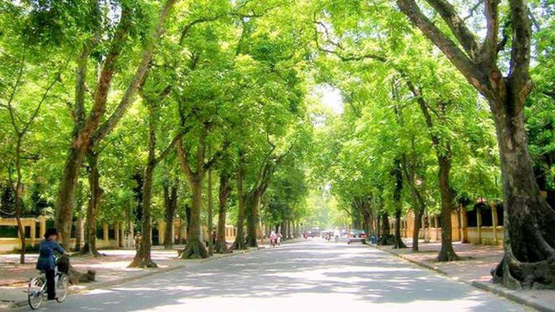 Bước ngoặt xanh quan trọng vì phát triển bền vững- Ảnh 1.