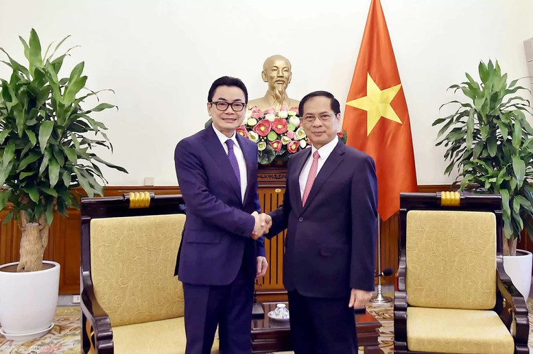Phó Thủ tướng Bùi Thanh Sơn tiếp Quốc Vụ khanh Bộ Ngoại giao và Hợp tác quốc tế Campuchia - Ảnh 1.
