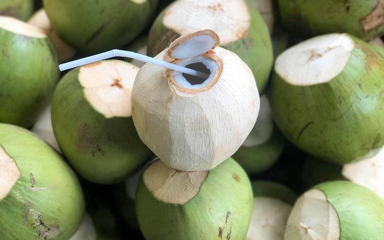 Dừa tươi Việt Nam: Từ đặc sản địa phương đến ngành hàng tỷ USD