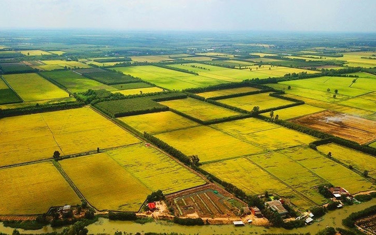 Đề xuất quy định hướng dẫn việc kéo dài thời hạn miễn thuế sử dụng đất nông nghiệp