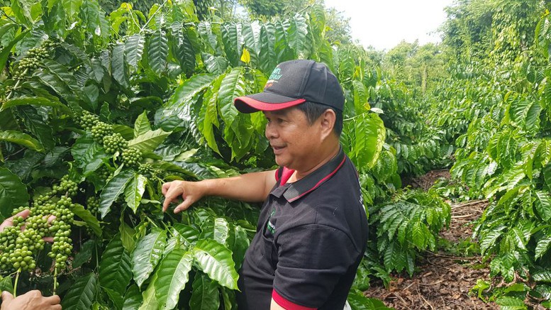 Nestlé Việt Nam đẩy mạnh đầu tư, phát triển bền vững, tiên phong bảo vệ môi trường- Ảnh 2.