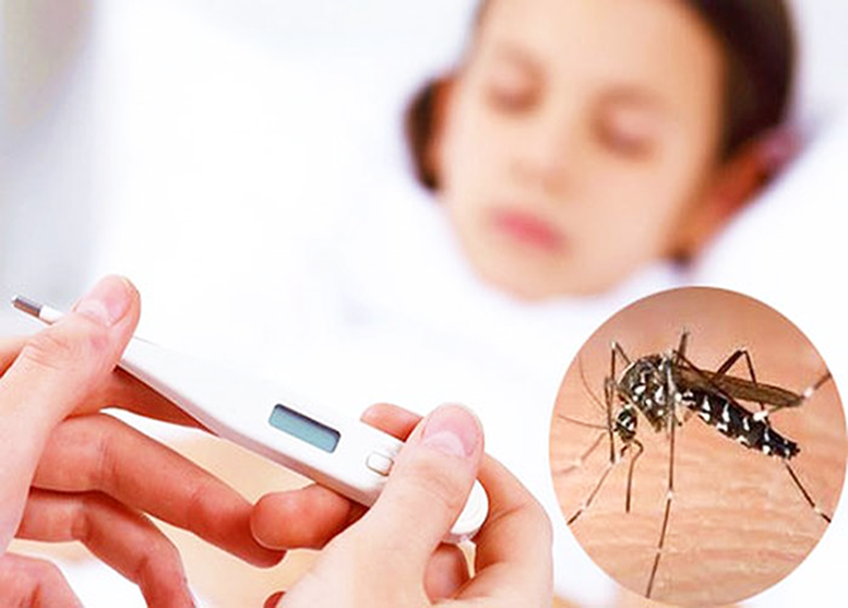 Công điện của Thủ tướng Chính phủ về việc tăng cường công tác phòng, chống bệnh sốt xuất huyết- Ảnh 1.