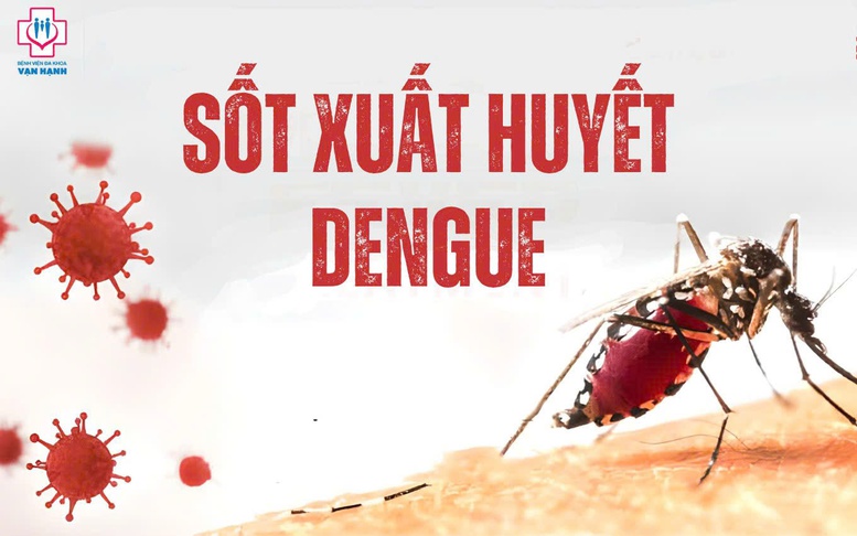 Sốt xuất huyết diễn biến phức tạp, chủng virus DEN-2 chiếm ưu thế- Ảnh 1.