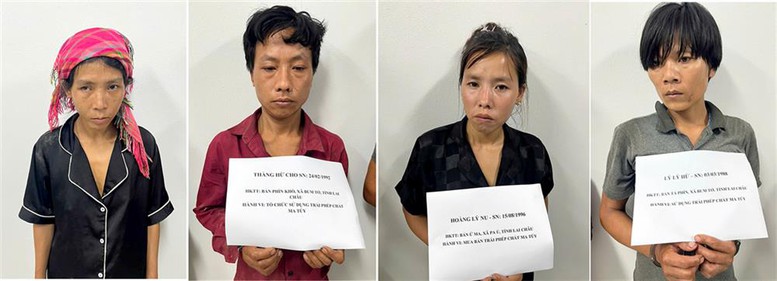 Các bị can 'Sử dụng trái phép chất ma tuý' đầu tiên bị khởi tố- Ảnh 1.