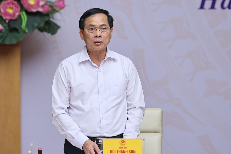 Thủ tướng: Tăng tốc, bứt phá thúc đẩy ngoại giao kinh tế- Ảnh 3.