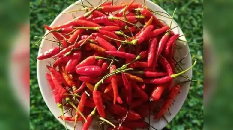 Hành trình tỷ đô của nông sản các nước (Kỳ 2): 'Ngọt ngào' cây ớt Ấn Độ- Ảnh 5.