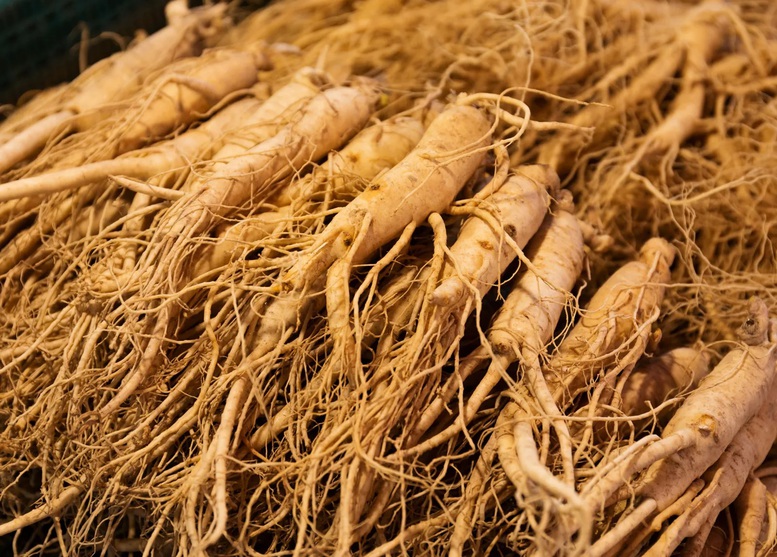 Hành trình tỷ đô của nông sản các nước (Kỳ 3): 'Tuyệt chiêu' của sâm Hàn- Ảnh 1.